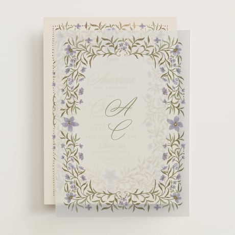 Vellum Overlays