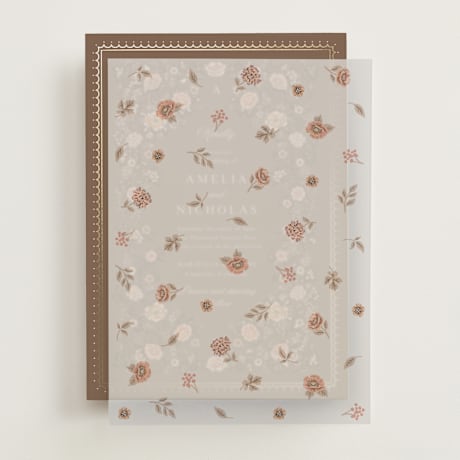 Vellum Overlays
