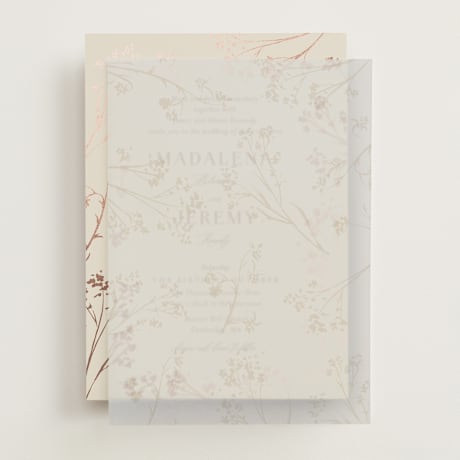 Vellum Overlays