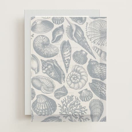 Vellum Overlays