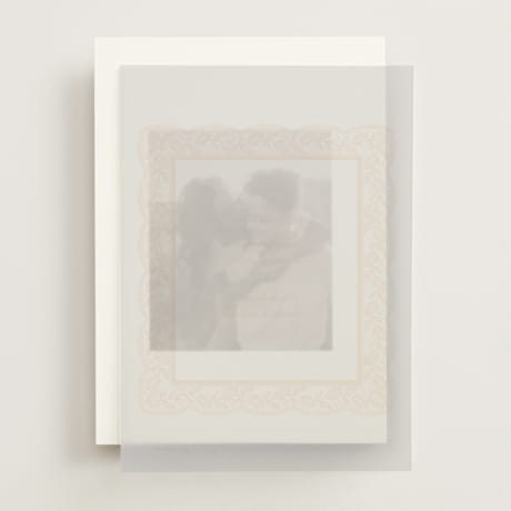 Vellum Overlays