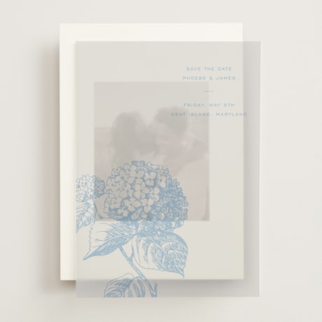 Vellum Overlays