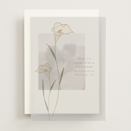 Vellum Overlays