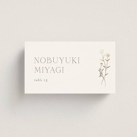 Place Cards