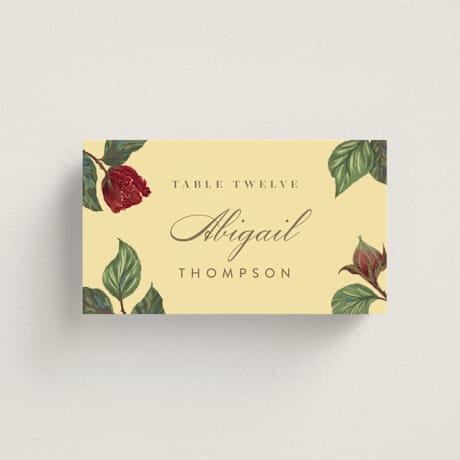Place Cards