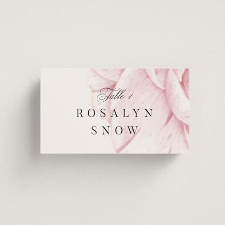 Place Cards