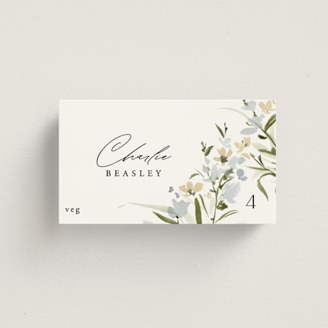 Place Cards - Vegetarian
