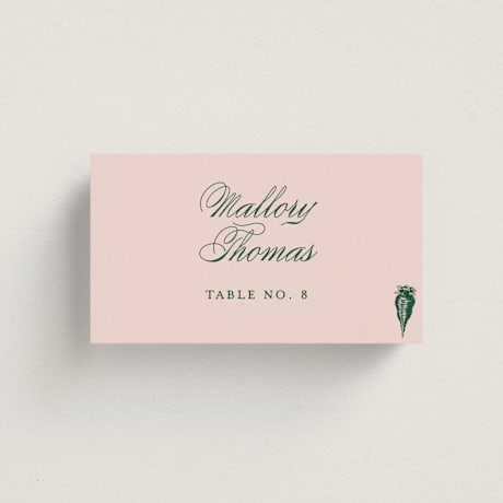 Place Cards - Vegetarian