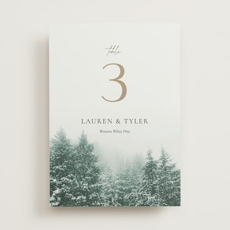 Table Numbers