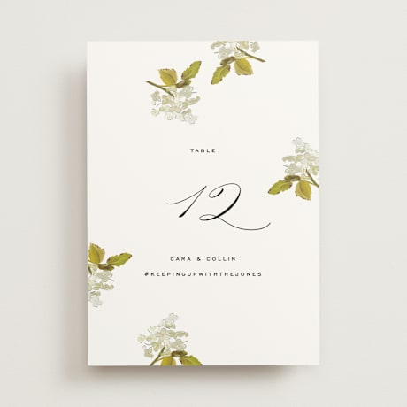 Table Numbers