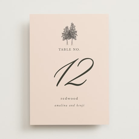Table Numbers