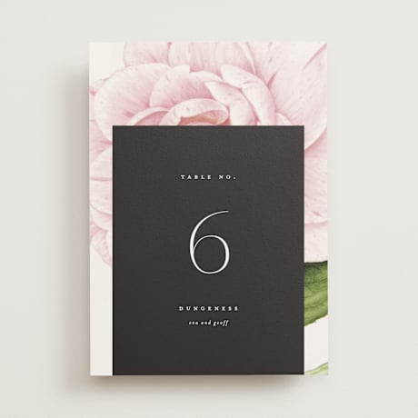 Table Numbers