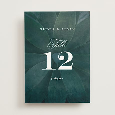 Table Numbers