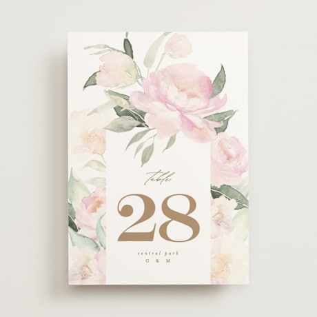 Table Numbers