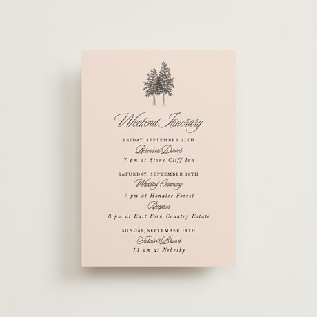 Petite Wedding Weekend Itinerary Cards
