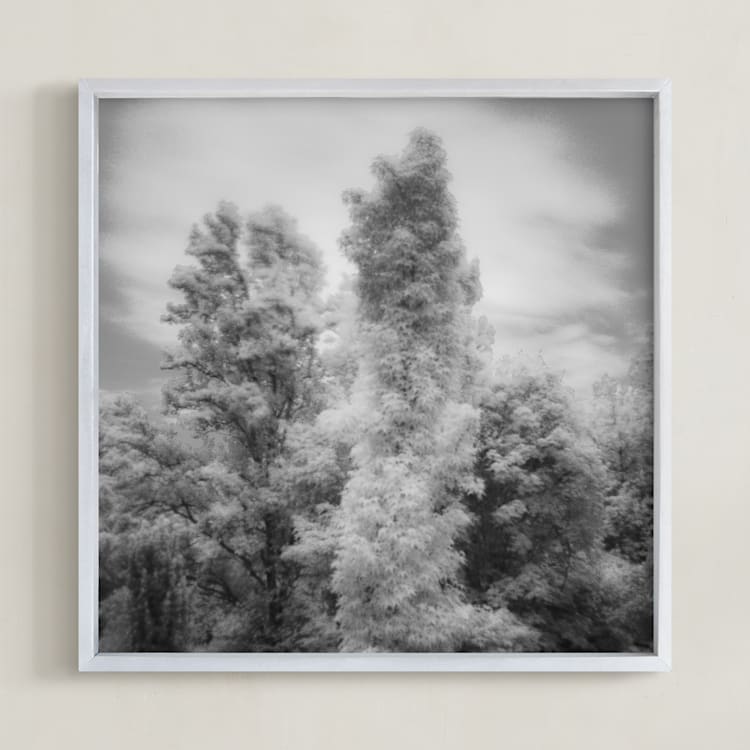 "InfraBotanical" - Art Print in Grey by Jeff Preuss - Framed