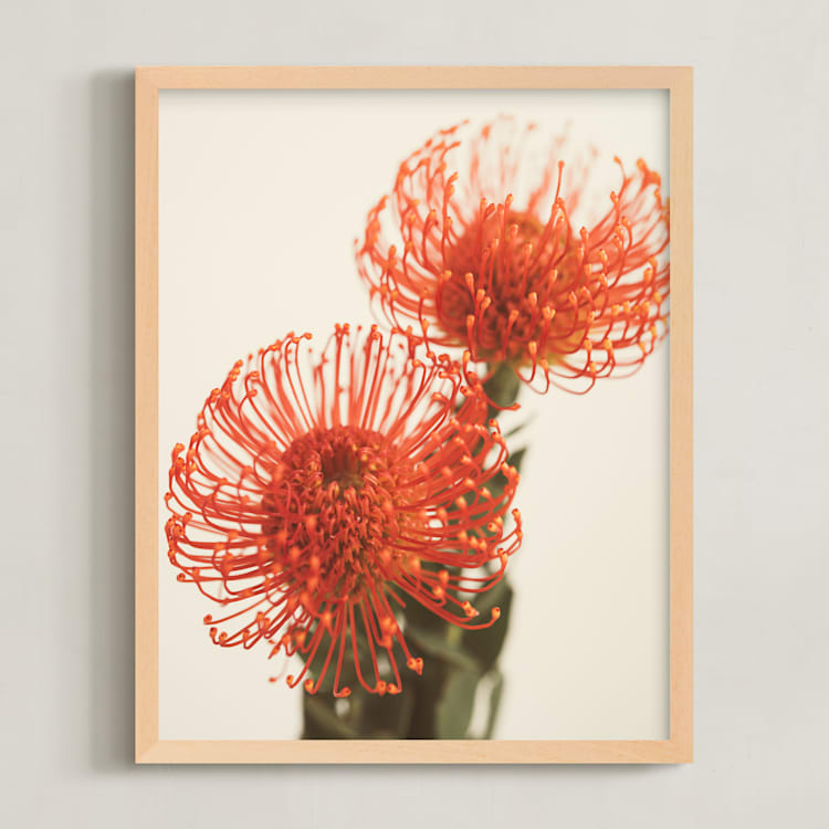 "Protea 2" - Art Print in Tangerine by Kamala Nahas - Framed