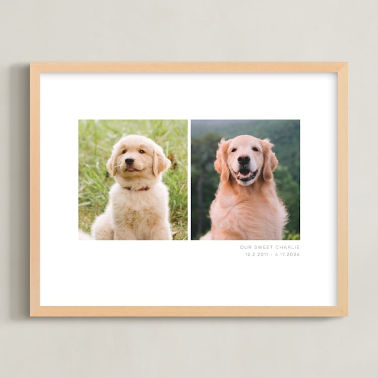 "Two Photo: Landscape Framed Photo" - Framed Photo in White by Anelle Mostert - Framed