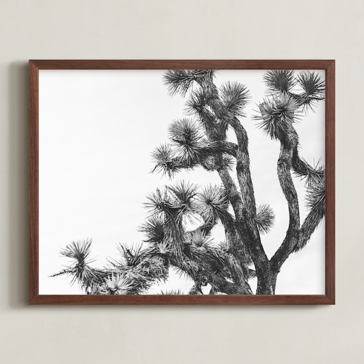 "Joshua Tree in September" - Art Print in Charcoal by Katie Doherty - Framed