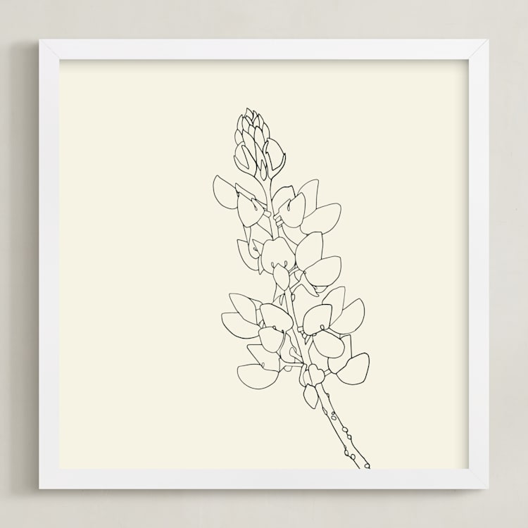 "Lupine" - Art Print in charcoal on ivory by Jorey Hurley - Framed