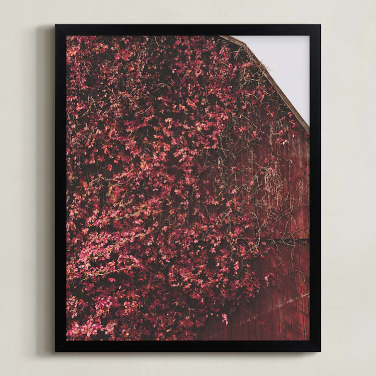 "Barn Romance" - Art Print in Red Ivy by Robin Ott - Framed