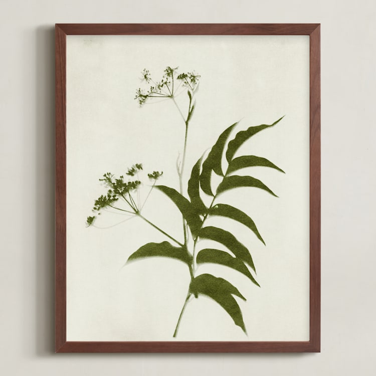 "Foraged III" - Art Print in Verdant by Kamala Nahas - Framed