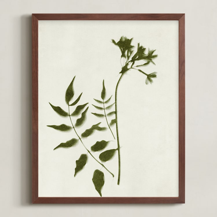 "Foraged II" - Art Print in Verdant by Kamala Nahas - Framed