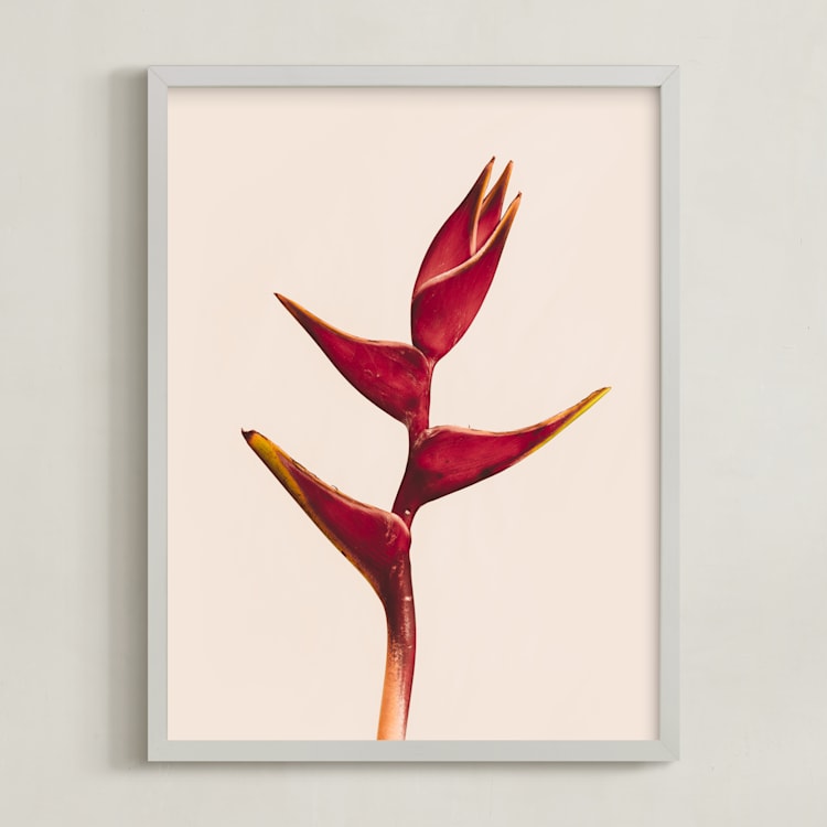 "heliconia 3" - Art Print in Heliconia by Kamala Nahas - Framed