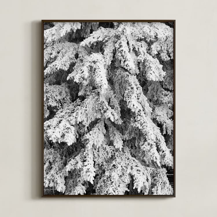 "Frost 3" - Art Print in Black & White by Ardell McLennan - Framed