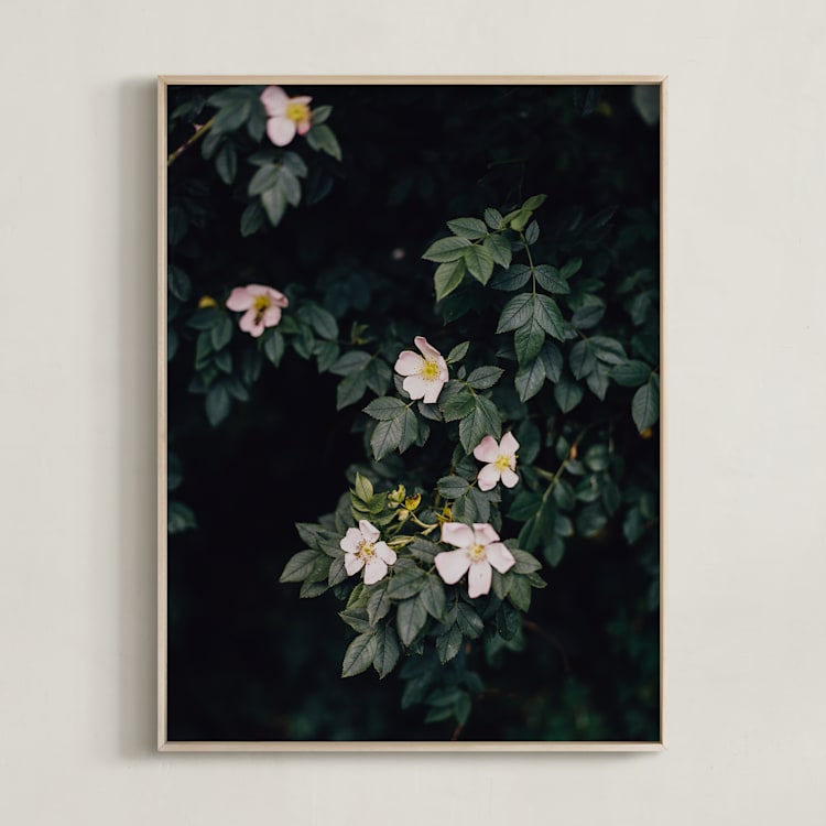 "Moody white roses" - Art Print in deep green by Hanke Arkenbout - Framed