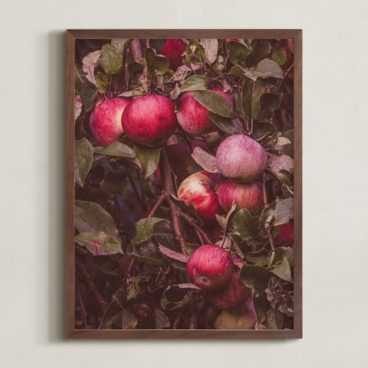 "Apple Season" - Art Print in Ripe Red by Justine Bicknell - Framed