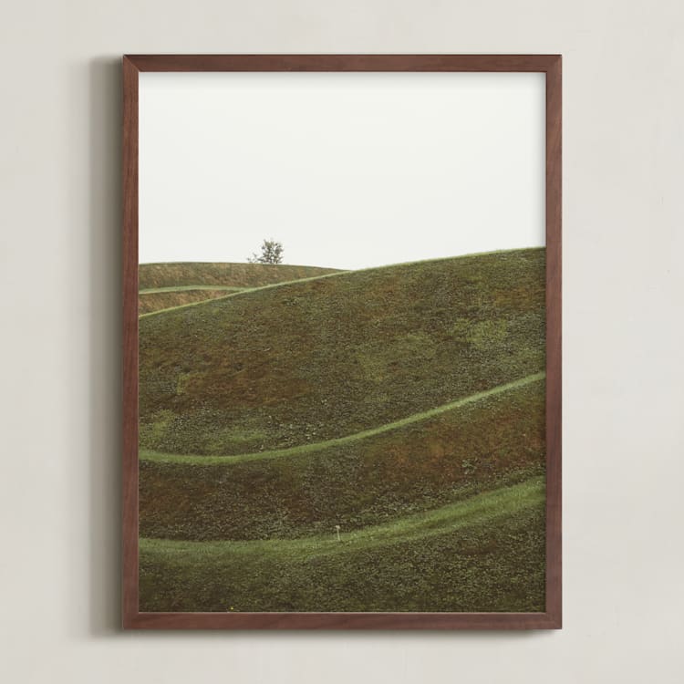 "Swooped I" - Art Print in Bog by Kamala Nahas - Framed