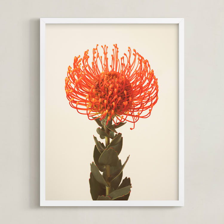 "Protea I" - Art Print in tangerine by Kamala Nahas - Framed