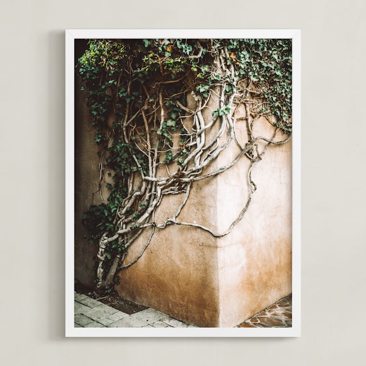 "Hold On" - Art Print in ivy by Janet Cruz - Framed