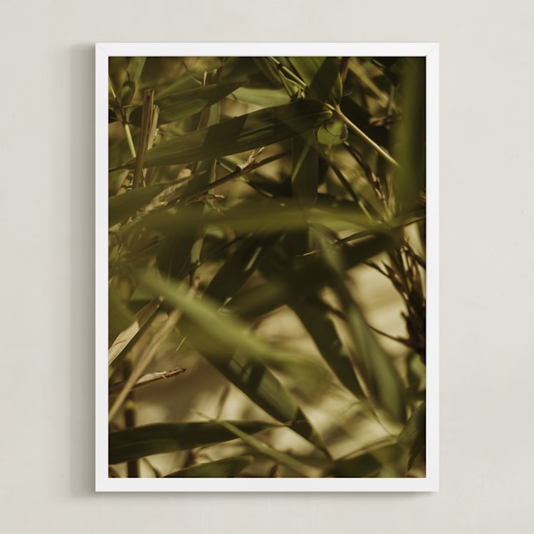 "Bamboo Breeze" - Art Print in Bamboo Green by Katie Buckman - Framed