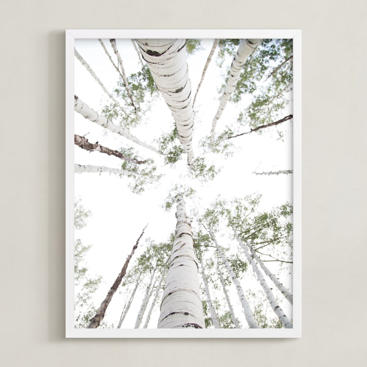 "Aspens at Altitude" - Art Print in Wonderfully White by Kaleb Nimz - Framed