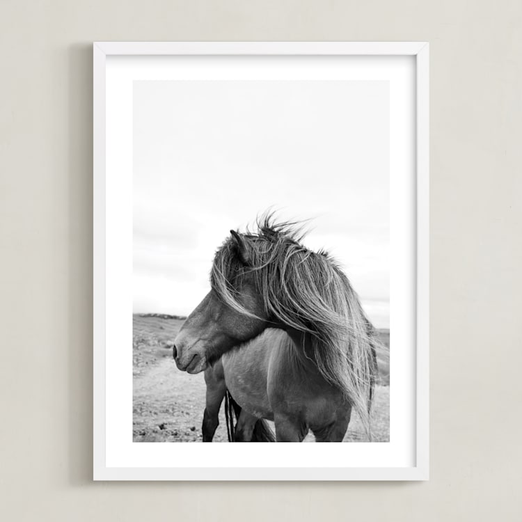 "A Horse and the Wind" - Art Print in Icland wind by Ilze Lucero - Framed