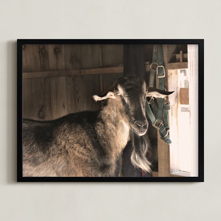 "Peeking" - Art Print in Umber by Paula Pecevich - Framed