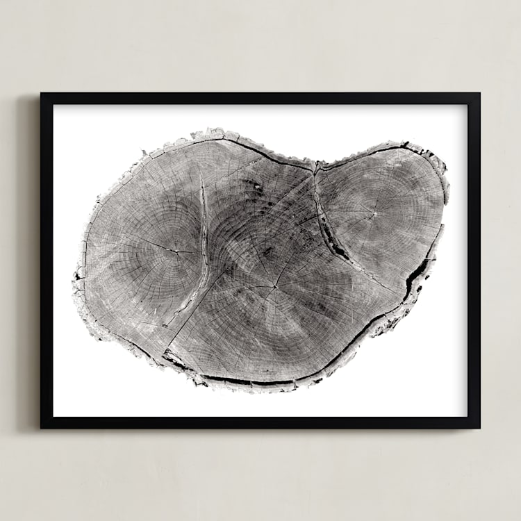 "Tree Rings pt. 1" - Art Print in Black by Mackenzie Darrach - Framed