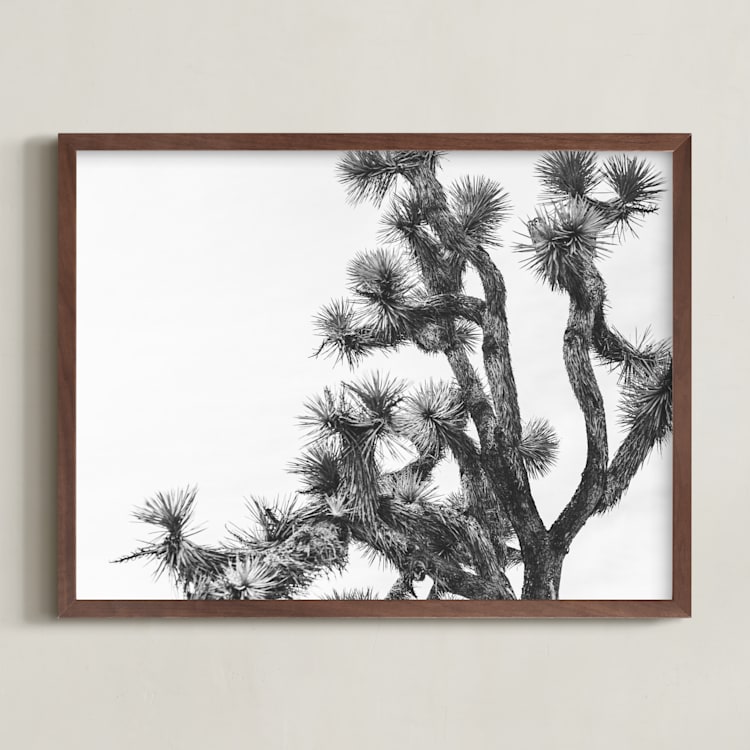"Joshua Tree in September" - Art Print in Charcoal by Katie Doherty - Framed