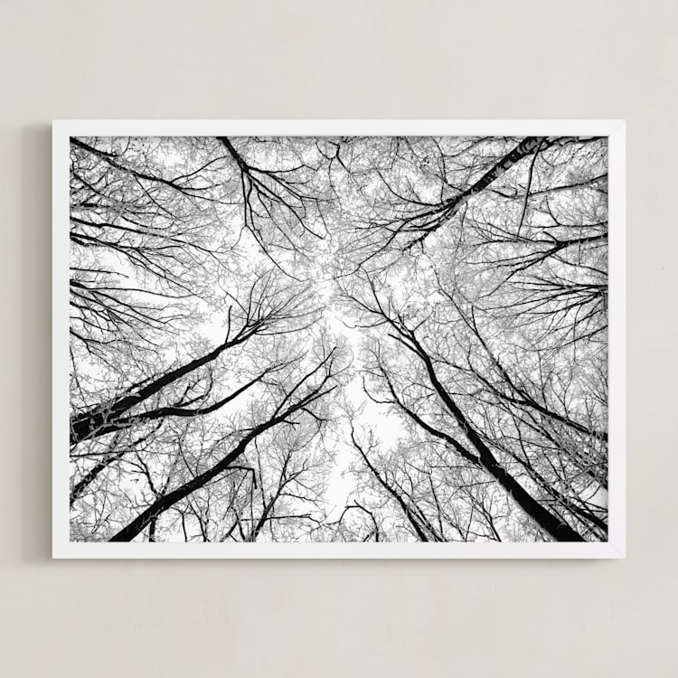 "Lost in the forest" - Art Print in Black and White by Magdalena Kucova - Framed