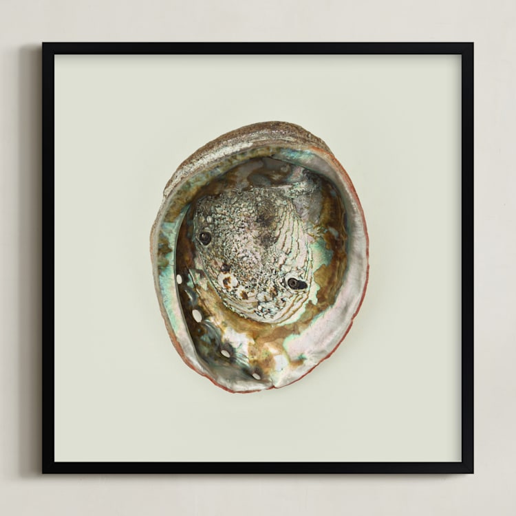 "Abalone Shell" - Art Print in Natural by Field and Sky - Framed