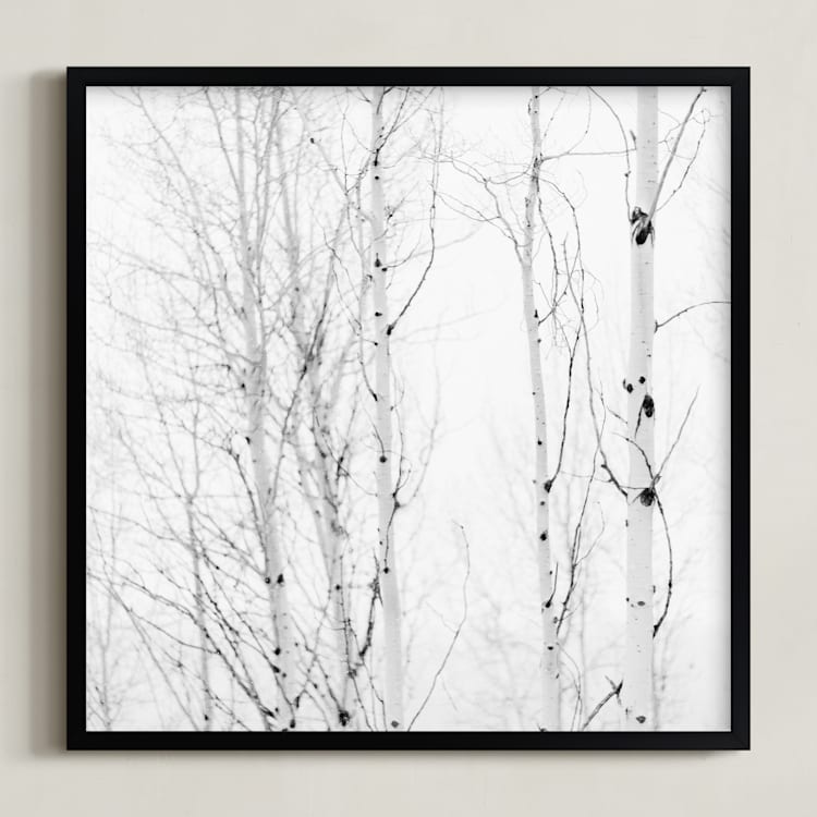 "White Aspens" - Art Print in Black and White by Jessica C Nugent - Framed