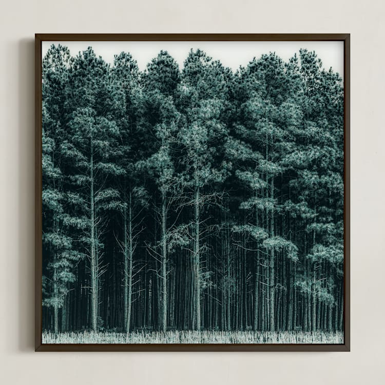 "through the trees" - Art Print in Pine by Keely Norton Owendoff - Framed