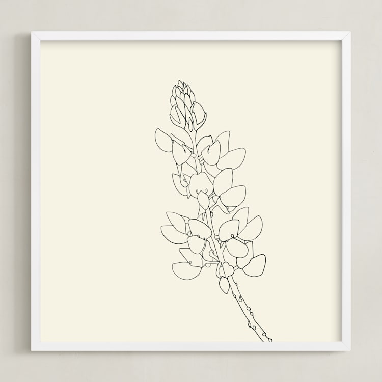 "Lupine" - Art Print in charcoal on ivory by Jorey Hurley - Framed