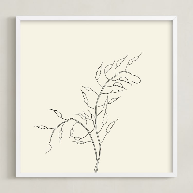 "Wild Radish" - Art Print in charcoal on ivory by Jorey Hurley - Framed