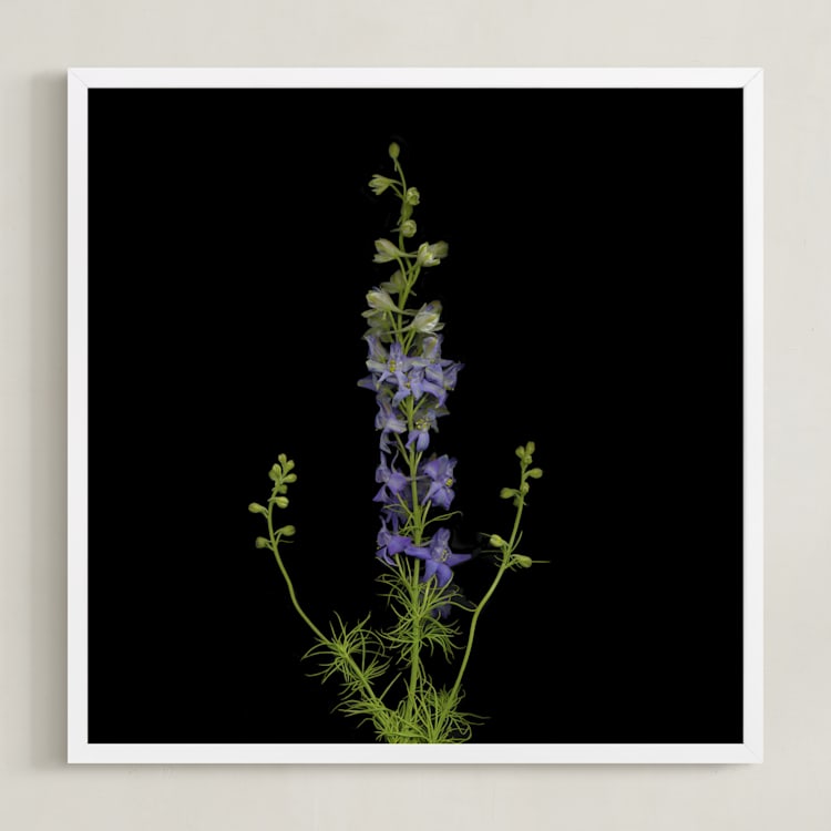 "stunning summer" - Art Print in purple by raven erebus - Framed