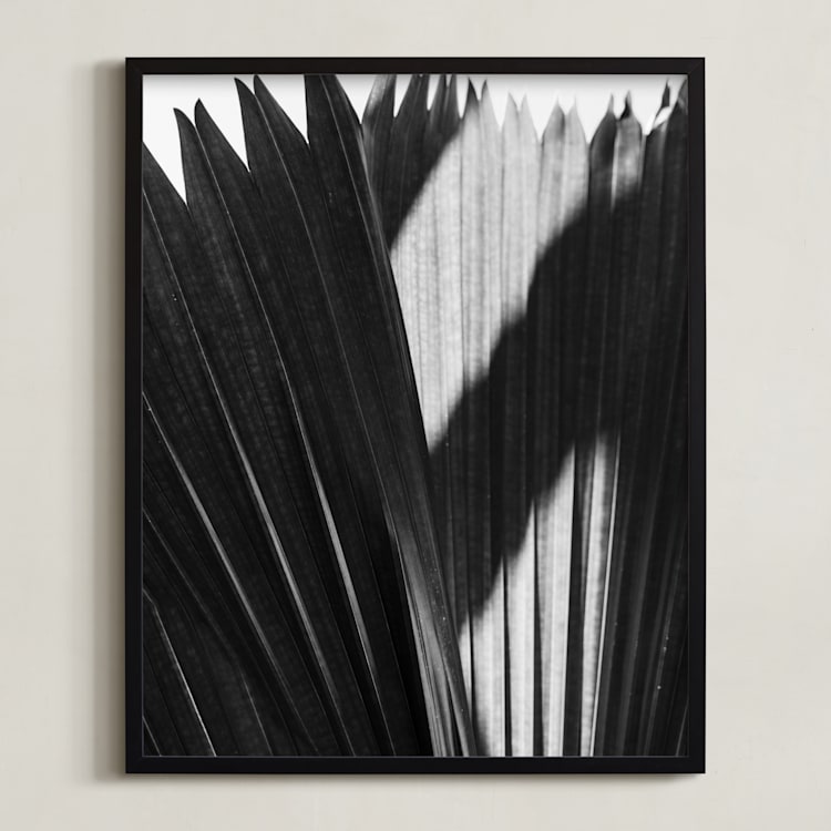 "Palmery 2" - Art Print in Black and White by Catherine Culvenor - Framed