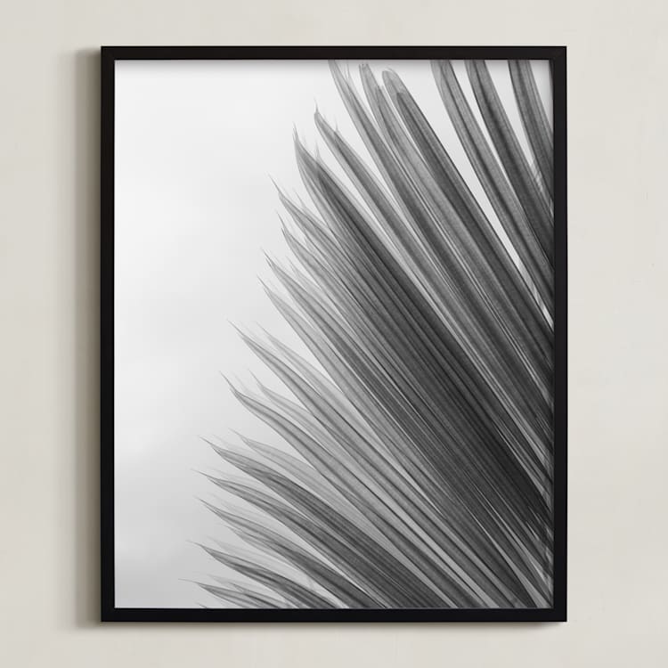"Palm leaves 1" - Art Print in black and white by Eliane Lamb - Framed