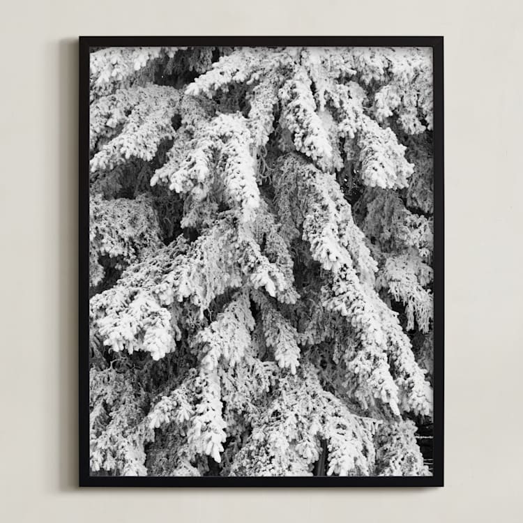 "Frost 3" - Art Print in Black & White by Ardell McLennan - Framed